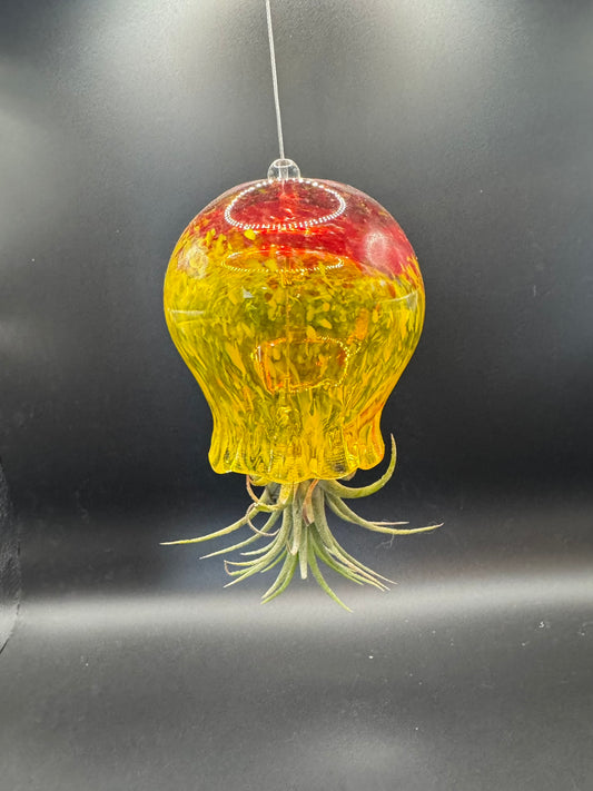 Yellow and Red Hand-Blown Glass Jellyfish air-planter (Plant not included)